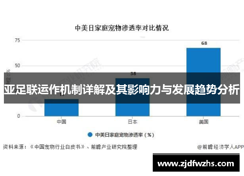 亚足联运作机制详解及其影响力与发展趋势分析